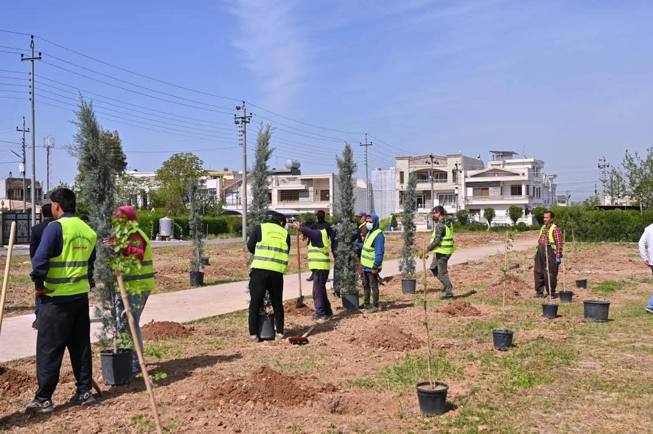 Erbil launches city-wide tree planting campaign - Kurdishglobe